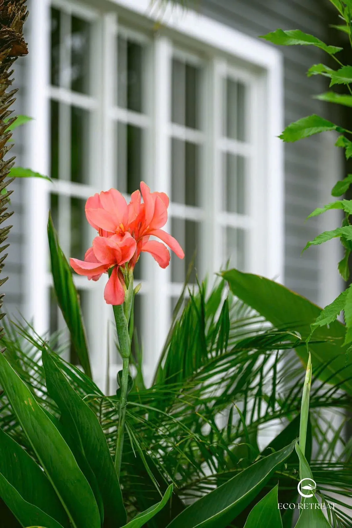 Ảnh thực tế cảnh quan nhà Home Retreat – Eco Retreat